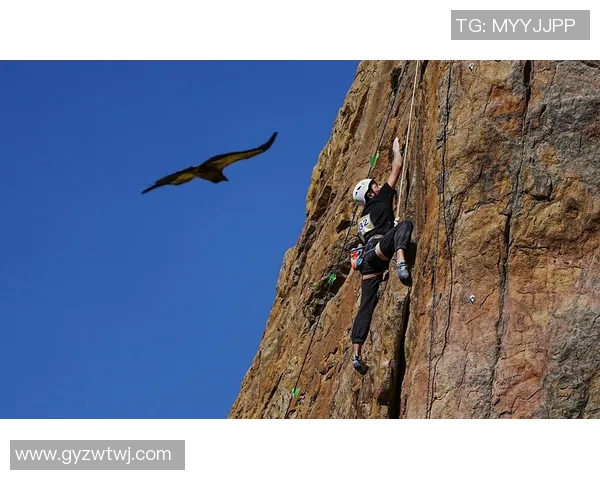重庆排球队耐力之争引发热议球迷与专家各执己见探讨背后原因