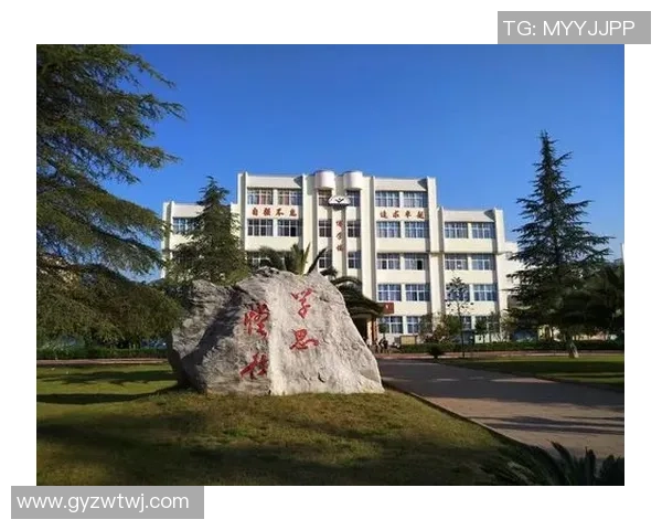 成都篮球队在世界锦标赛中的辉煌征程与突破时刻全景回顾